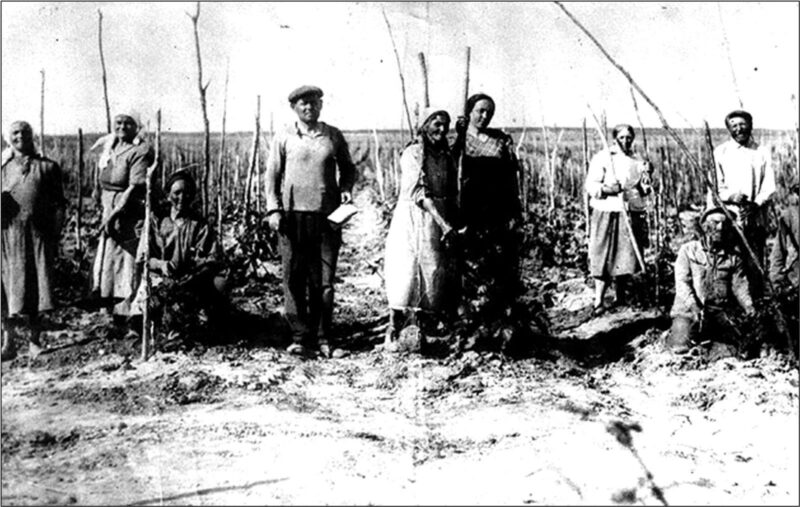 Господарські колонії в Херсоні до 1917 р.